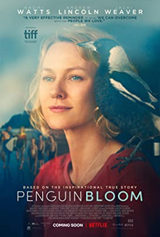 Penguin Bloom (2021) เพนกวิน บลูม HD เต็มเรื่อง
